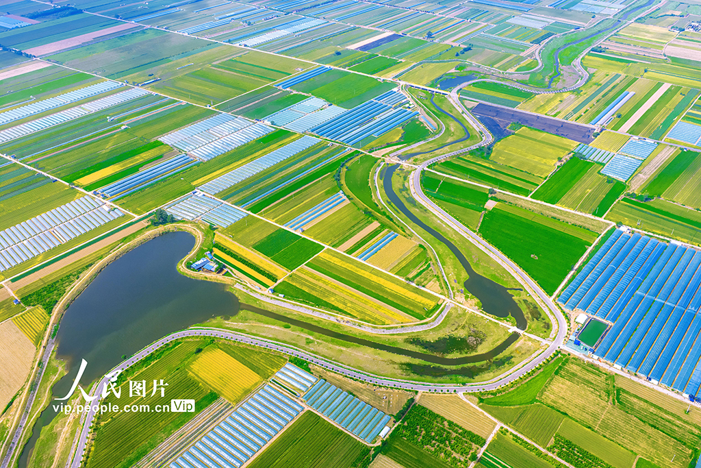 山西夏县：涑水河畔绘就田园盛景【3】