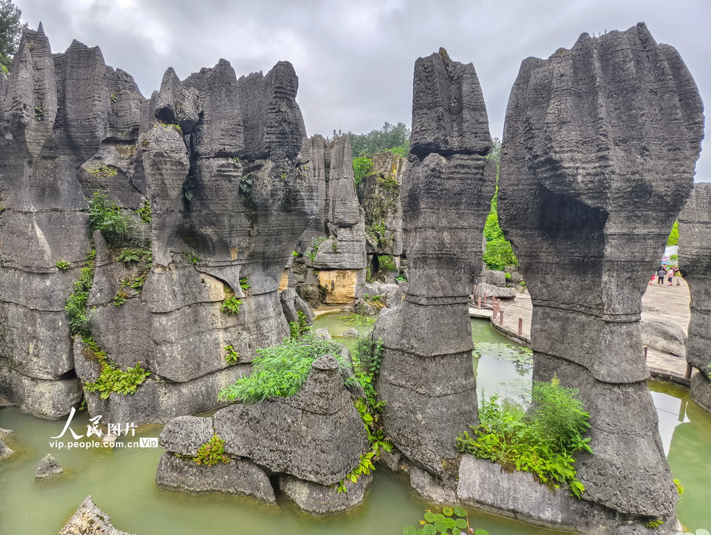 2026年5月26日拍摄的重庆龙鳞石海景区风景。